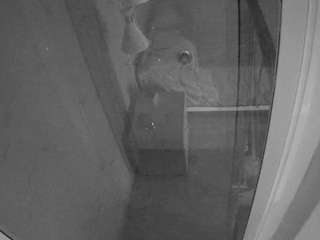 voyeurcam casa salsa bathroom 12